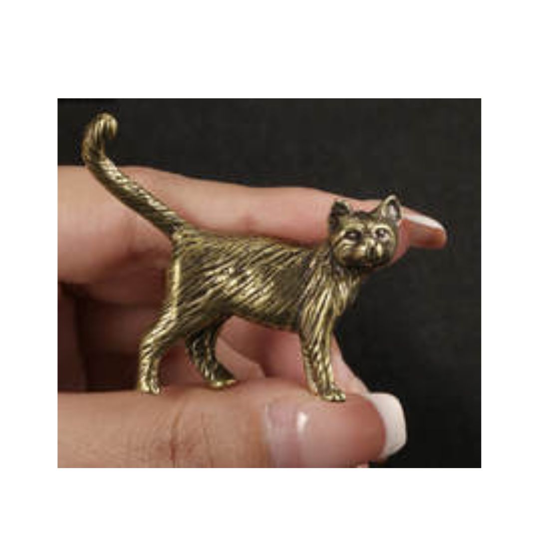 Gato Miniatura