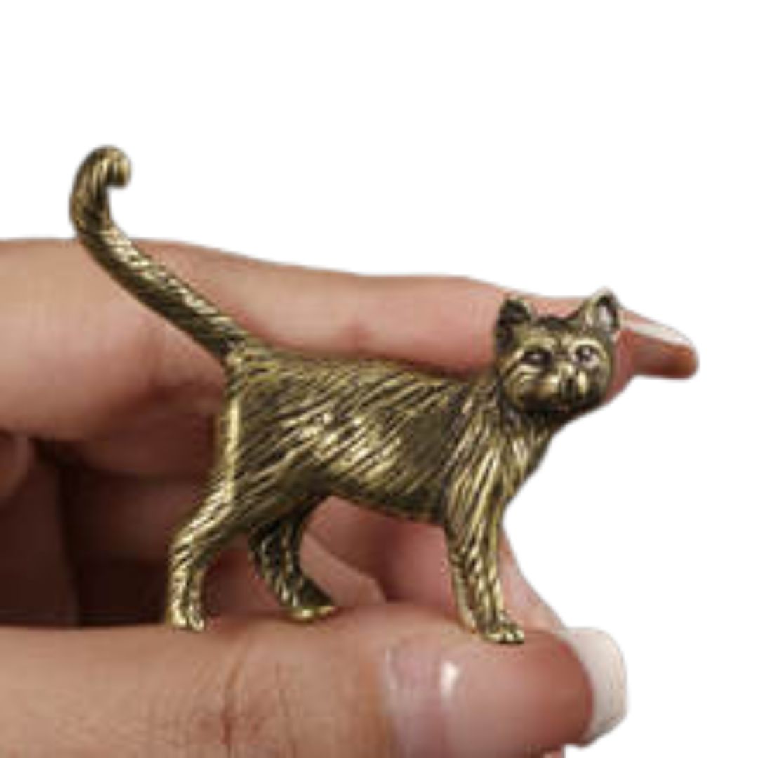 Gato Miniatura