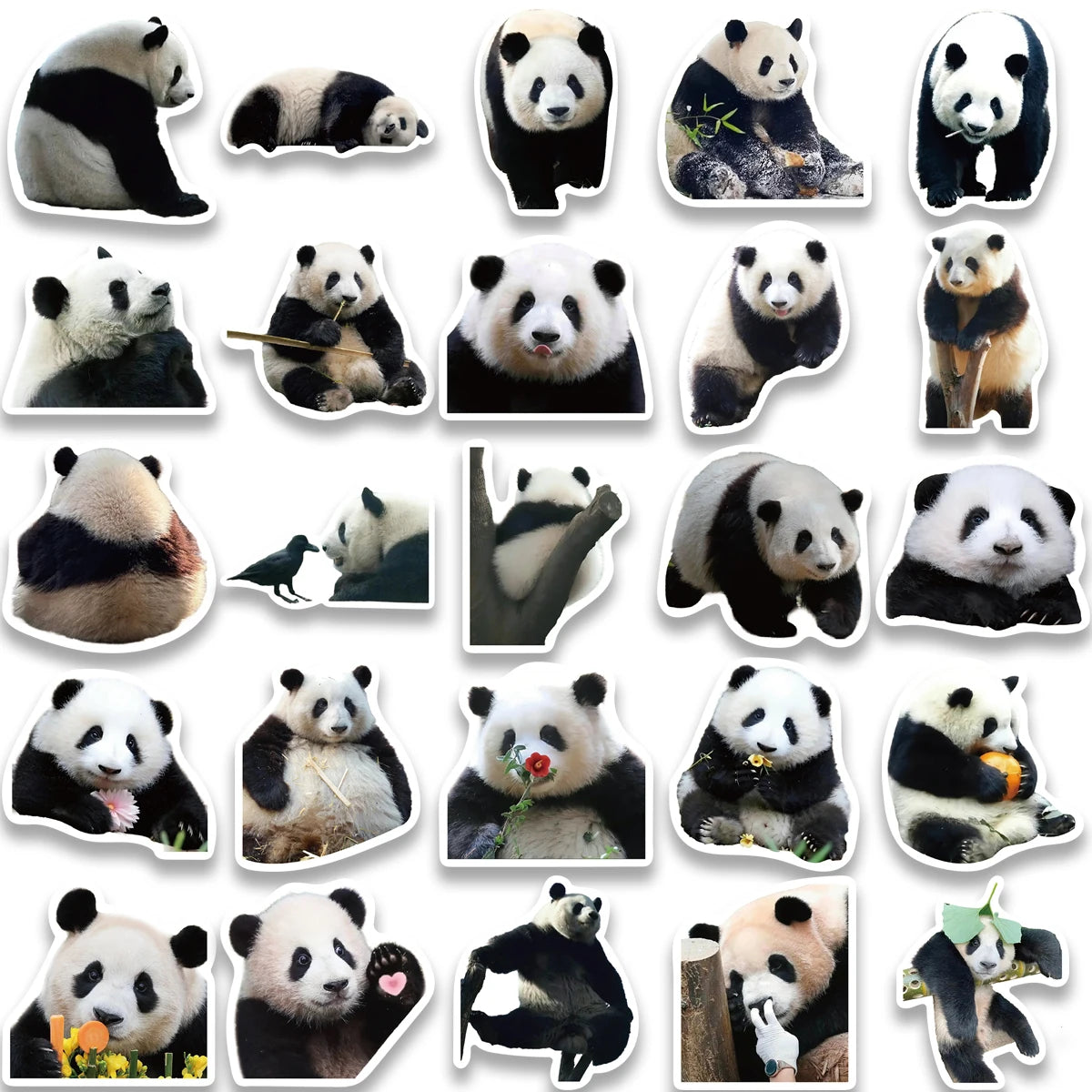 Panda Stickers - 50 peças