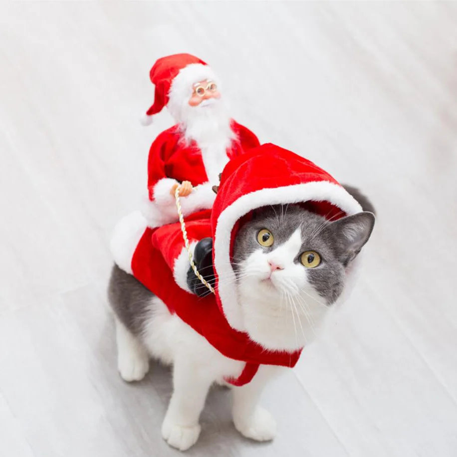 Roupa de natal para cães e gatos