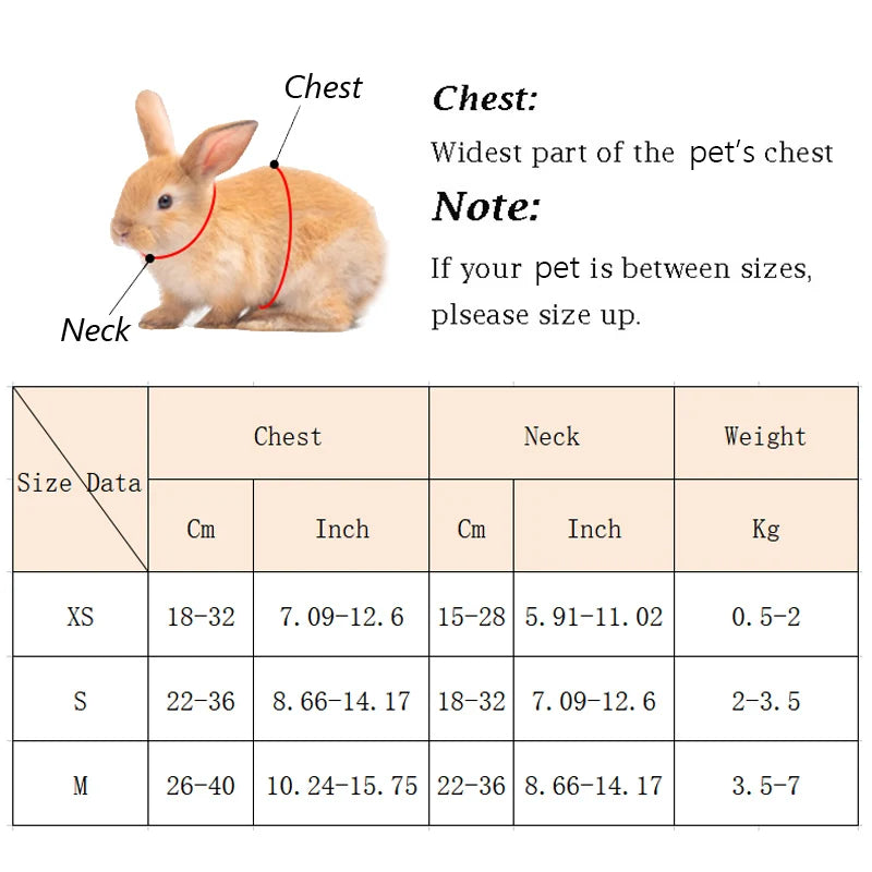 Arnês para coelhos