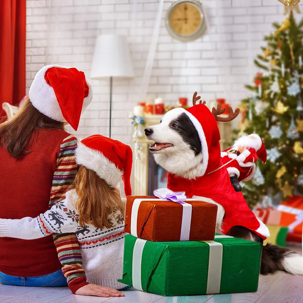 Roupa de natal para cães e gatos