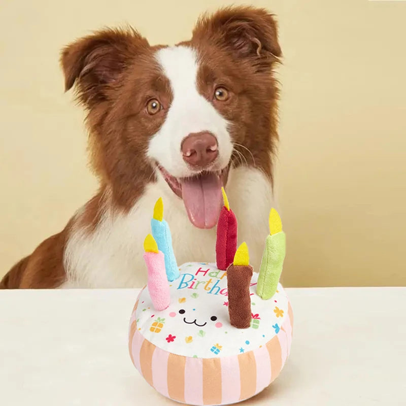 Brinquedo Bolo de Aniversário