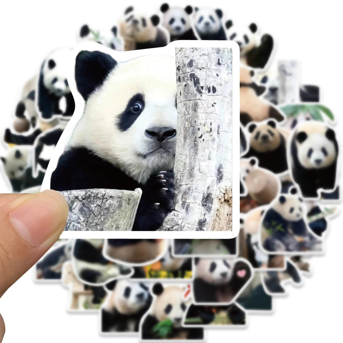 Panda Stickers - 50 peças