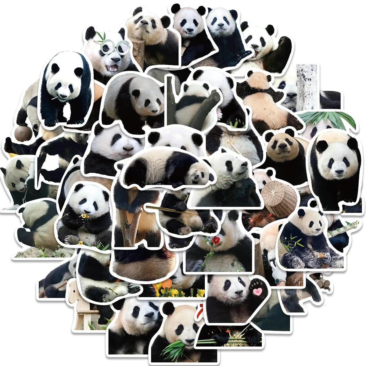 Panda Stickers - 50 peças