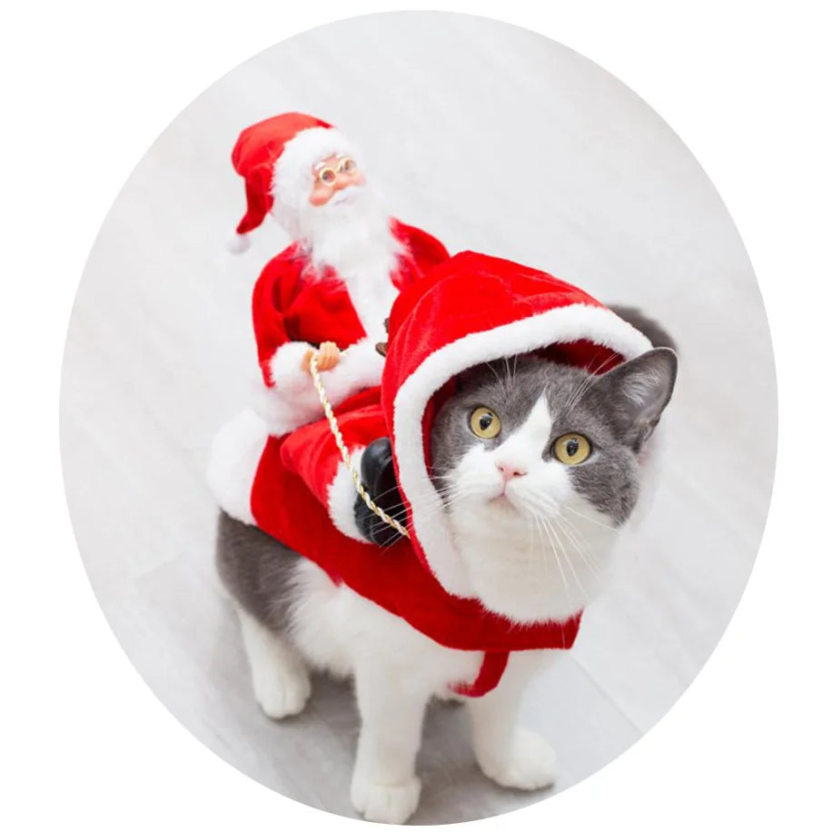 Roupa de natal para cães e gatos